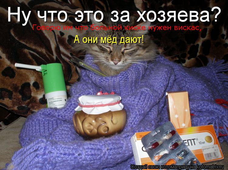 Ну что это за хозяева? Говорю им что больной киске нужен вискас, А они мёд дают!... Котоматрица: Ну что это за хозяева? Говорю им что больной киске нужен вискас, А они мёд дают!