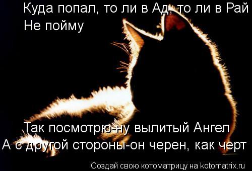 Куда попал, то ли в Ад, то ли в Рай Не пойму Так посмотрю-ну вылитый Ангел А с другой стороны-он чере... Котоматрица: Куда попал, то ли в Ад, то ли в Рай Не пойму Так посмотрю-ну вылитый Ангел А с другой стороны-он черен, как черт