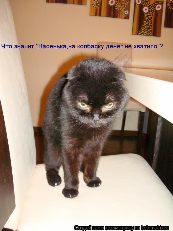 Что значит "Васенька,на колбаску денег не хватило"?... Котоматрица: Что значит "Васенька,на колбаску денег не хватило"?