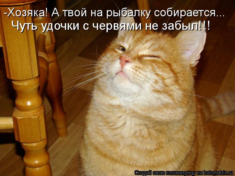 Чуть удочки с червями не забыл!!! -Хозяка! А твой на рыбалку собирается...... Котоматрица: Чуть удочки с червями не забыл!!! -Хозяка! А твой на рыбалку собирается...