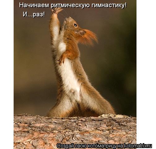 Начинаем ритмическую гимнастику! И...раз!... Котоматрица: Начинаем ритмическую гимнастику! И...раз!