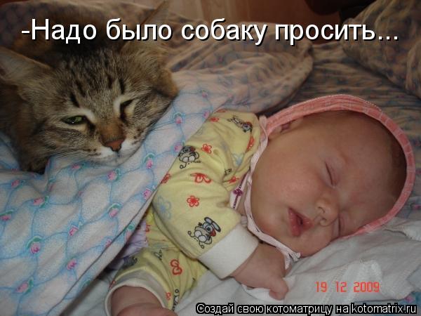 -Надо было собаку просить...... Котоматрица: -Надо было собаку просить...