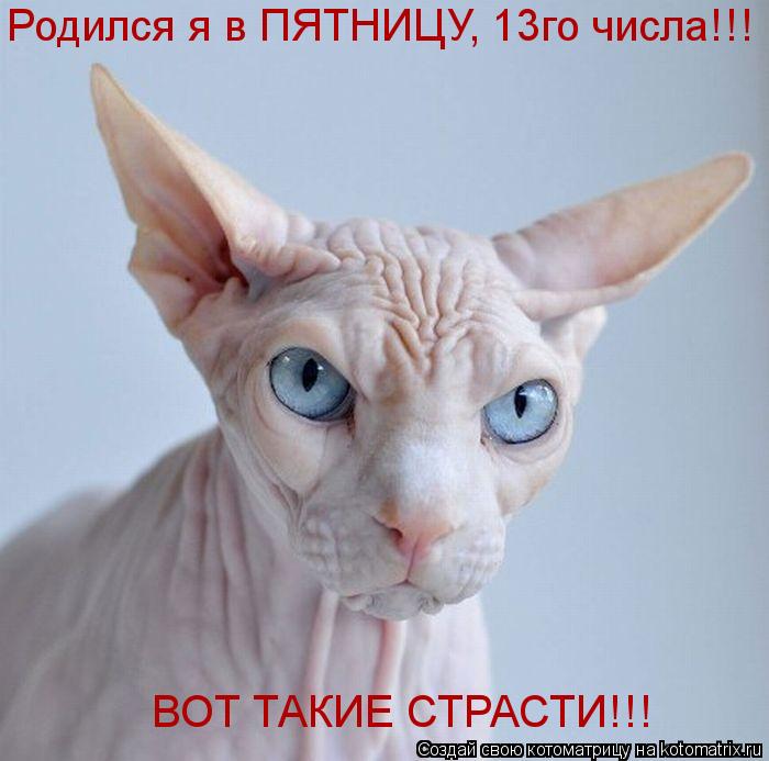 Котоматрица: Родился я в ПЯТНИЦУ, 13го числа!!! ВОТ ТАКИЕ СТРАСТИ!!!