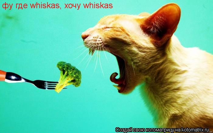фу где whiskas, хочу whiskas... Котоматрица: фу где whiskas, хочу whiskas