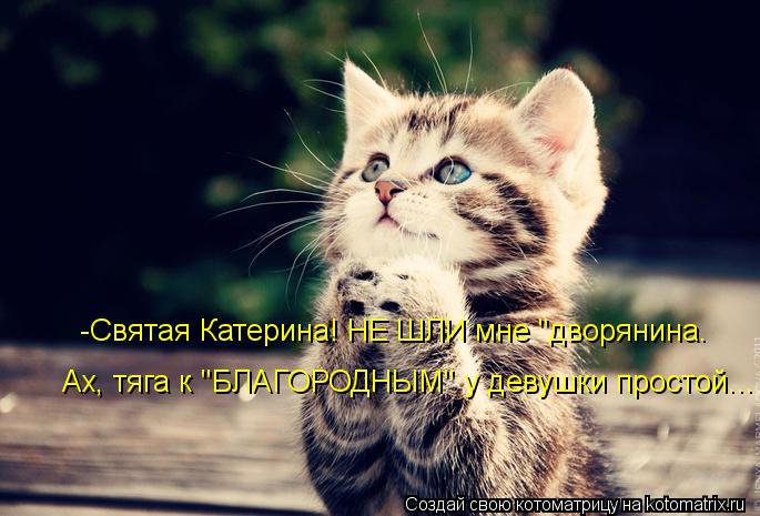 -Святая Катерина! НЕ ШЛИ мне "дворянина. Ах, тяга к "БЛАГОРОДНЫМ" у девушки простой...... Котоматрица: -Святая Катерина! НЕ ШЛИ мне "дворянина. Ах, тяга к "БЛАГОРОДНЫМ" у девушки простой...