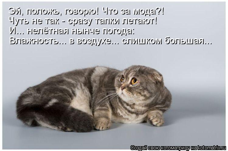 Эй, положь, говорю! Что за мода?! Чуть не так - сразу тапки летают! И... нелётная нынче погода: Влажн... Котоматрица: Эй, положь, говорю! Что за мода?! Чуть не так - сразу тапки летают! И... нелётная нынче погода: Влажность... в воздухе... слишком большая...