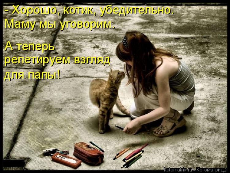 - Хорошо, котик, убедительно. А теперь репетируем взгляд для папы! Маму мы уговорим.... Котоматрица: - Хорошо, котик, убедительно. А теперь репетируем взгляд для папы! Маму мы уговорим.