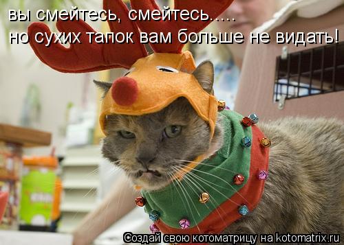 вы смейтесь, смейтесь..... но сухих тапок вам больше не видать!... Котоматрица: вы смейтесь, смейтесь..... но сухих тапок вам больше не видать!