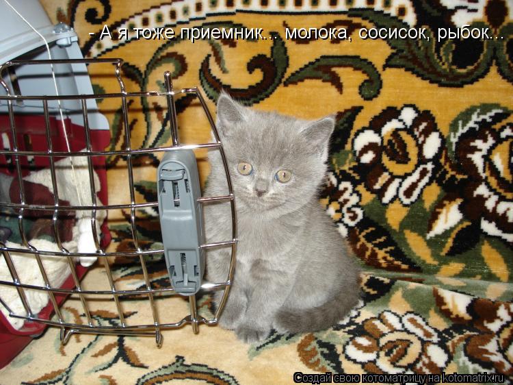 - А я тоже приемник... молока, сосисок, рыбок...... Котоматрица: - А я тоже приемник... молока, сосисок, рыбок...