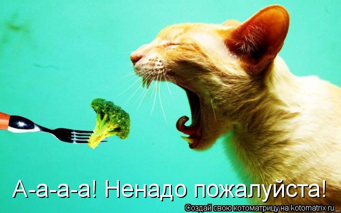 А-а-а-а! Ненадо пожалуйста!... Котоматрица: А-а-а-а! Ненадо пожалуйста!