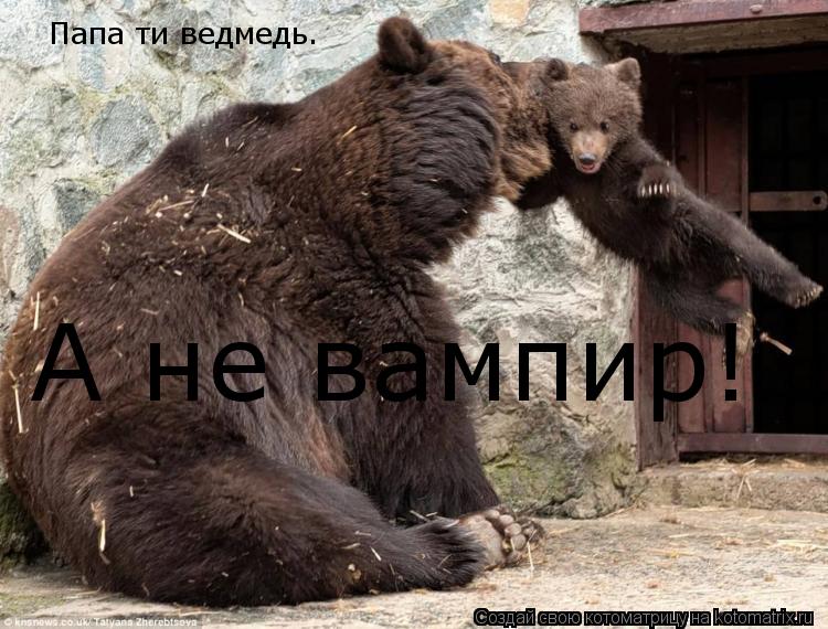 Папа ти ведмедь. А не вампир!... Котоматрица: Папа ти ведмедь. А не вампир!
