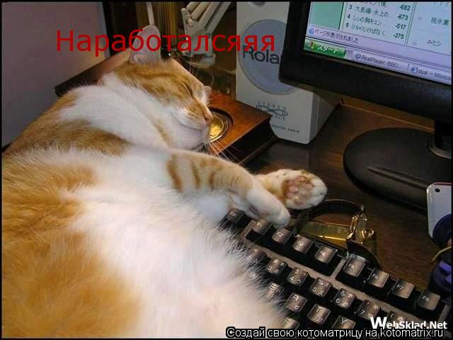 Наработалсяяя... Котоматрица: Наработалсяяя