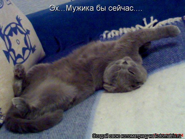 Эх...Мужика бы сейчас....... Котоматрица: Эх...Мужика бы сейчас....