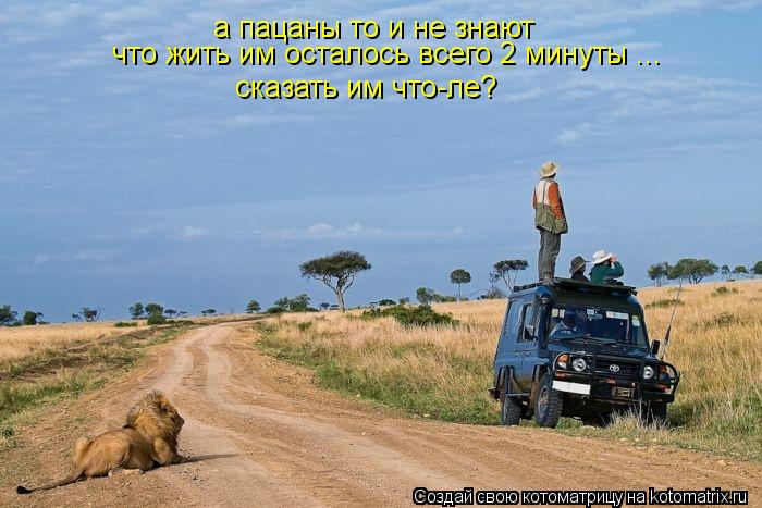 а пацаны то и не знают что жить им осталось всего 2 минуты ... сказать им что-ле?... Котоматрица: а пацаны то и не знают что жить им осталось всего 2 минуты ... сказать им что-ле?