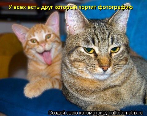У всех есть друг который портит фотографию... Котоматрица: У всех есть друг который портит фотографию