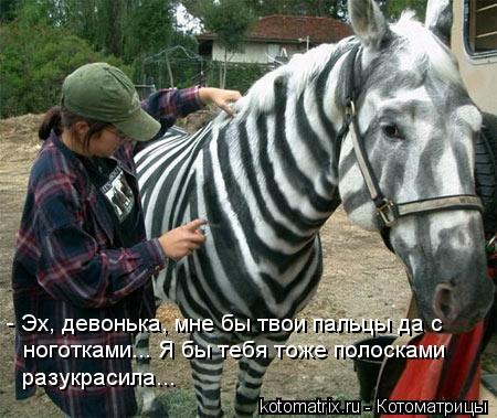 - Эх, девонька, мне бы твои пальцы да с ноготками... Я бы тебя тоже полосками разукрасила...... Котоматрица: - Эх, девонька, мне бы твои пальцы да с ноготками... Я бы тебя тоже полосками разукрасила...