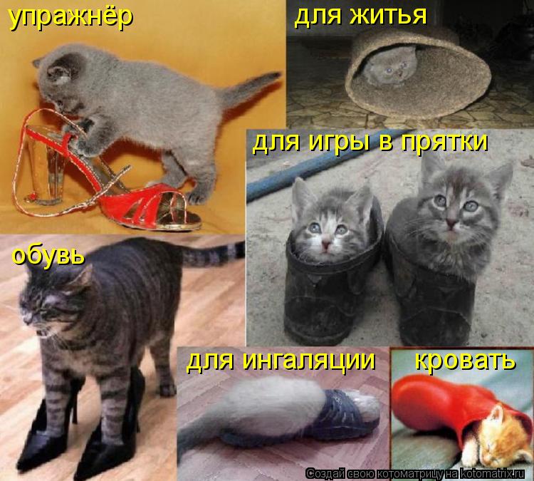 Котоматрица: для игры в прятки для житья упражнёр обувь для ингаляции     кровать
