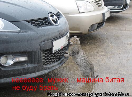 неееееее, мужик... машина битая не буду брать... Котоматрица: неееееее, мужик... машина битая не буду брать