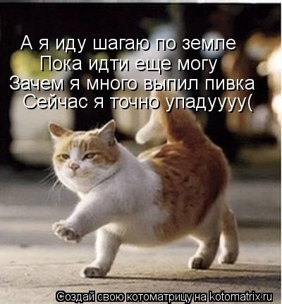 А я иду шагаю по земле Пока идти еще могу Зачем я много выпил пивка Сейчас я точно упадуууу(... Котоматрица: А я иду шагаю по земле Пока идти еще могу Зачем я много выпил пивка Сейчас я точно упадуууу(