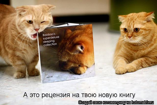 А это рецензия на твою новую книгу... Котоматрица: А это рецензия на твою новую книгу