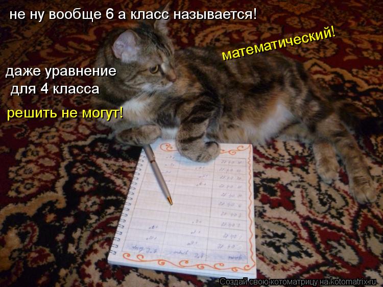 не ну вообще 6 а класс называется! математический! даже уравнение для 4 класса решить не могут!... Котоматрица: не ну вообще 6 а класс называется! математический! даже уравнение для 4 класса решить не могут!