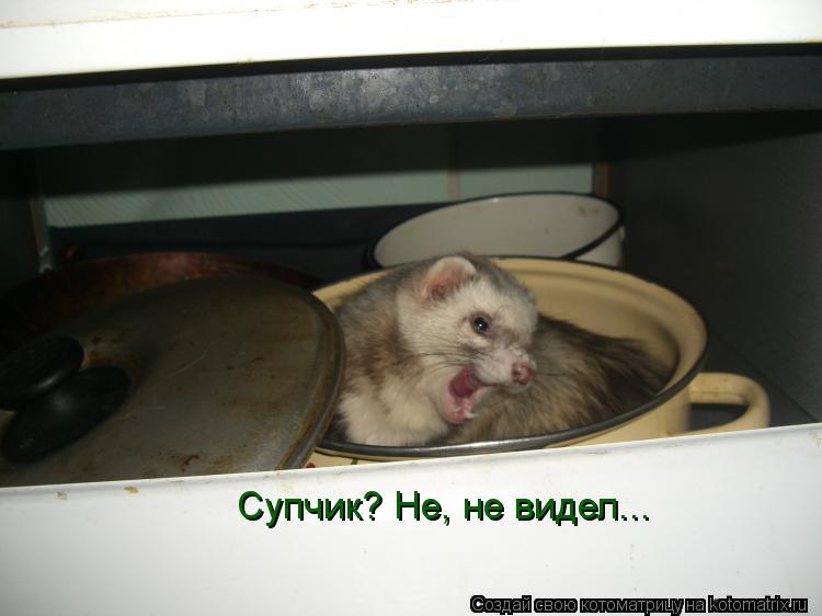 Супчик? Не, не видел...... Котоматрица: Супчик? Не, не видел...
