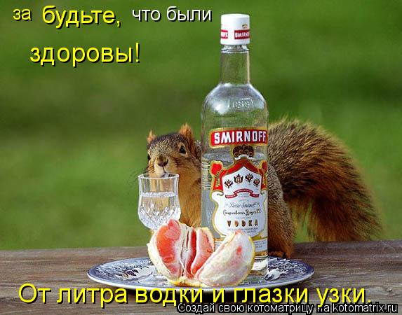 за будьте, что были здоровы! От литра водки и глазки узки.... Котоматрица: за будьте, что были здоровы! От литра водки и глазки узки.