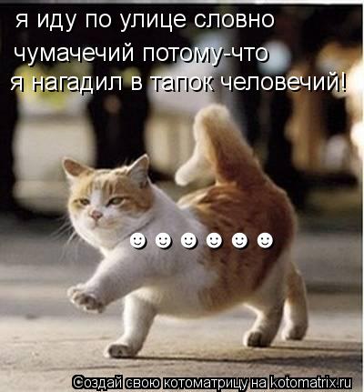 я иду по улице словно чумачечий потому-что я нагадил в тапок человечий! ☻☻☻☻... Котоматрица: я иду по улице словно чумачечий потому-что я нагадил в тапок человечий! ☻☻☻☻☻☻