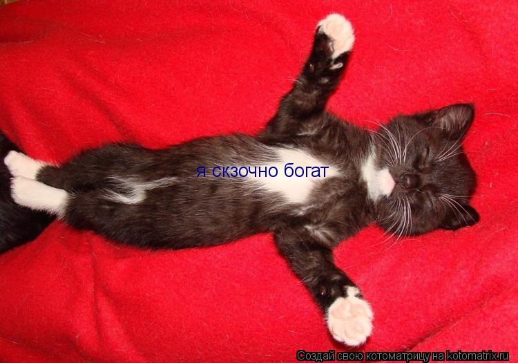 я скзочно богат... Котоматрица: я скзочно богат