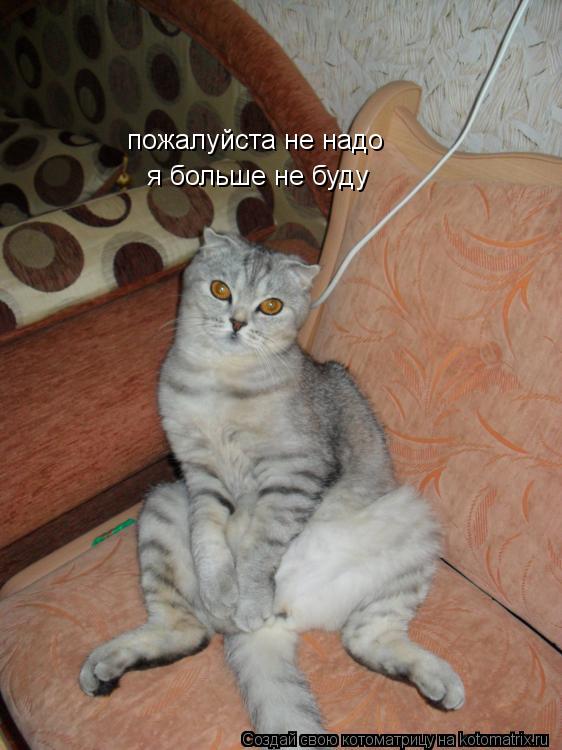 пожалуйста не надо я больше не буду... Котоматрица: пожалуйста не надо я больше не буду