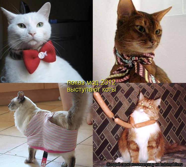 Котоматрица: показ мод 2012 выступают коты