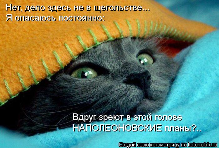Котоматрица: Нет, дело здесь не в щегольстве... Я опасаюсь постоянно: Вдруг зреют в этой голове НАПОЛЕОНОВСКИЕ планы?..