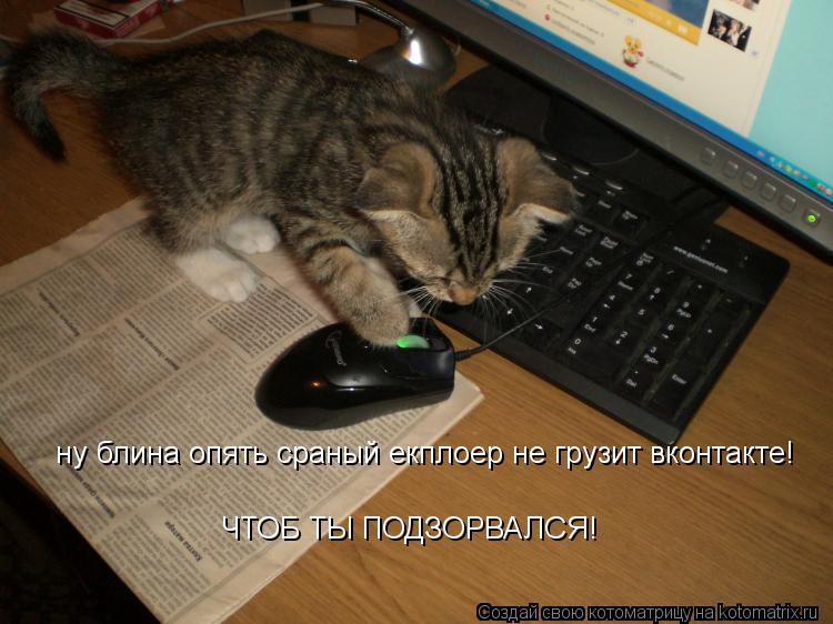 ну блина опять сраный екплоер не грузит вконтакте! ЧТОБ ТЫ ПОДЗОРВАЛСЯ!... Котоматрица: ну блина опять сраный екплоер не грузит вконтакте! ЧТОБ ТЫ ПОДЗОРВАЛСЯ!