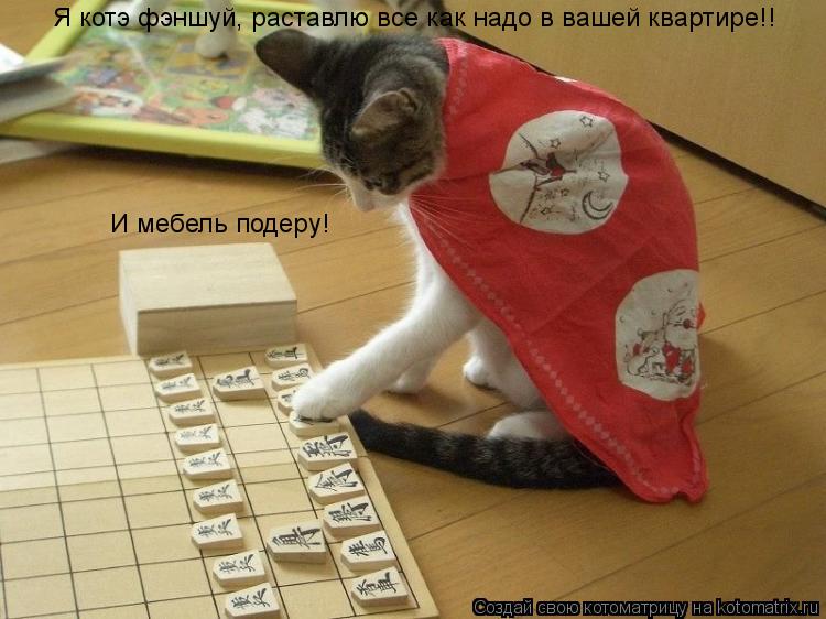 Я котэ фэншуй, раставлю все как надо в вашей квартире!! И мебель подеру!... Котоматрица: Я котэ фэншуй, раставлю все как надо в вашей квартире!! И мебель подеру!