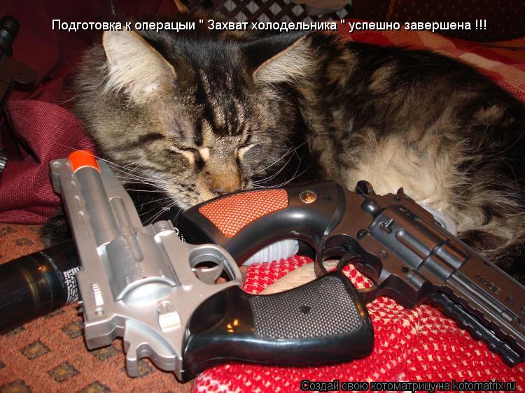 Подготовка к операцыи " Захват холодельника " успешно завершена !!!... Котоматрица: Подготовка к операцыи " Захват холодельника " успешно завершена !!!