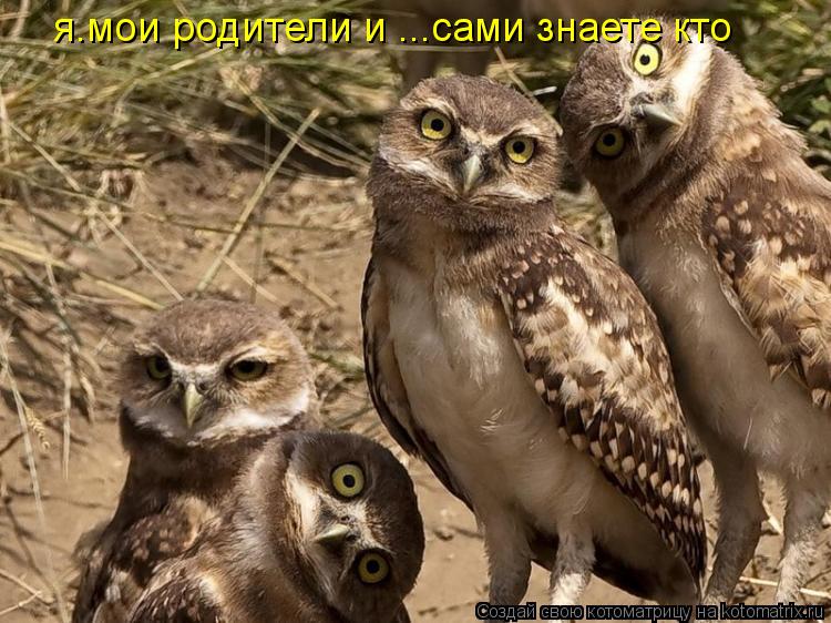 я.мои родители и ...сами знаете кто... Котоматрица: я.мои родители и ...сами знаете кто