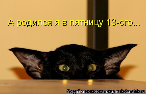А родился я в пятницу 13-ого...... Котоматрица: А родился я в пятницу 13-ого...