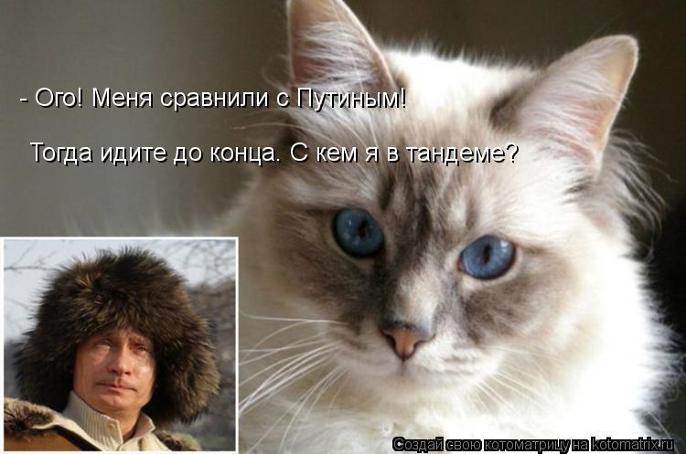 - Ого! Меня сравнили с Путиным! Тогда идите до конца. С кем я в тандеме?... Котоматрица: - Ого! Меня сравнили с Путиным! Тогда идите до конца. С кем я в тандеме?