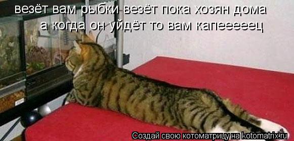 везёт вам рыбки везёт пока хозян дома а когда он уйдёт то вам капееееец... Котоматрица: везёт вам рыбки везёт пока хозян дома а когда он уйдёт то вам капееееец