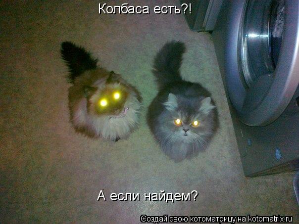Колбаса есть?! А если найдем?... Котоматрица: Колбаса есть?! А если найдем?