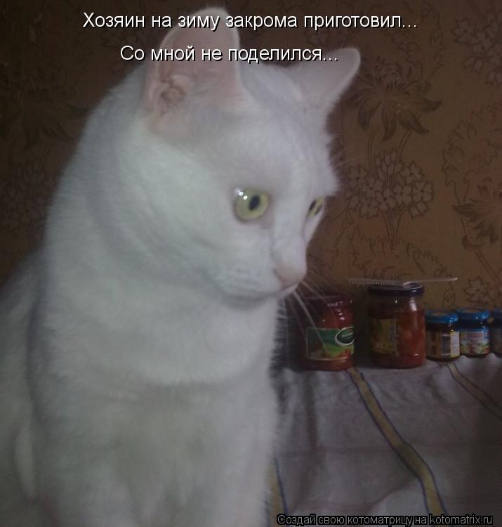 Хозяин на зиму закрома приготовил... Со мной не поделился...... Котоматрица: Хозяин на зиму закрома приготовил... Со мной не поделился...