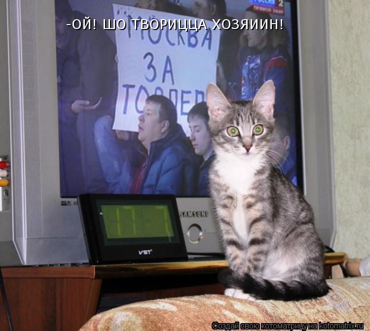 -ОЙ! ШО ТВОРИЦЦА ХОЗЯИИН!... Котоматрица: -ОЙ! ШО ТВОРИЦЦА ХОЗЯИИН!
