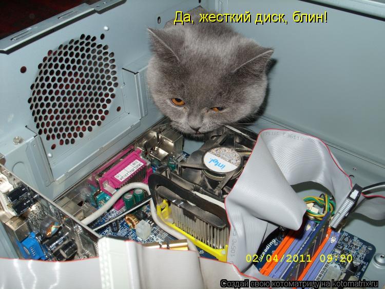 Да, жесткий диск, блин!... Котоматрица: Да, жесткий диск, блин!