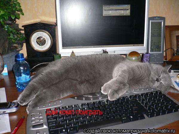 Дай комп поиграть... Котоматрица: Дай комп поиграть
