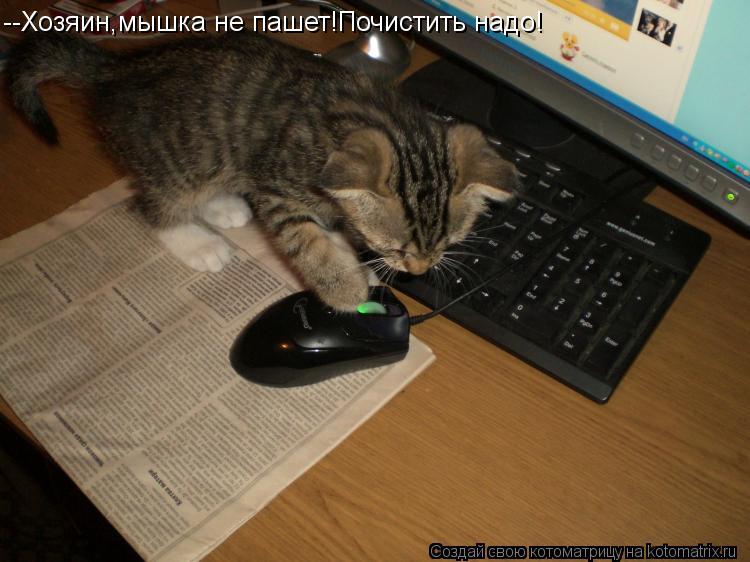 --Хозяин,мышка не пашет!Почистить надо!... Котоматрица: --Хозяин,мышка не пашет!Почистить надо!