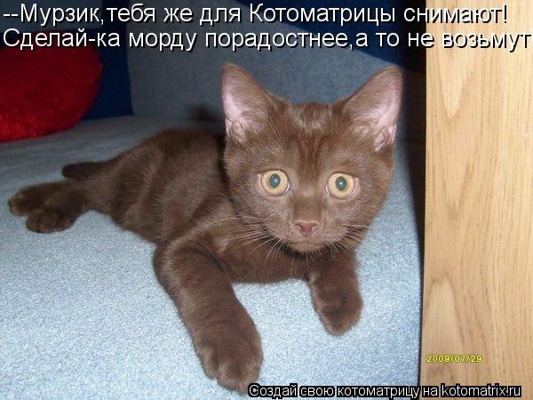 --Мурзик,тебя же для Котоматрицы снимают! Сделай-ка морду порадостнее,а то не возьмут!... Котоматрица: --Мурзик,тебя же для Котоматрицы снимают! Сделай-ка морду порадостнее,а то не возьмут!
