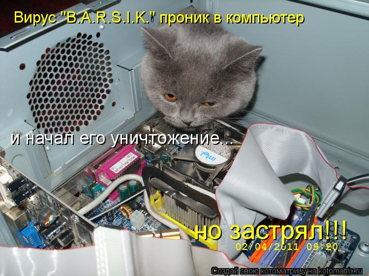 Вирус "B.A.R.S.I.K." проник в компьютер и начал его уничтожение... но застрял!!!... Котоматрица: Вирус "B.A.R.S.I.K." проник в компьютер и начал его уничтожение... но застрял!!!