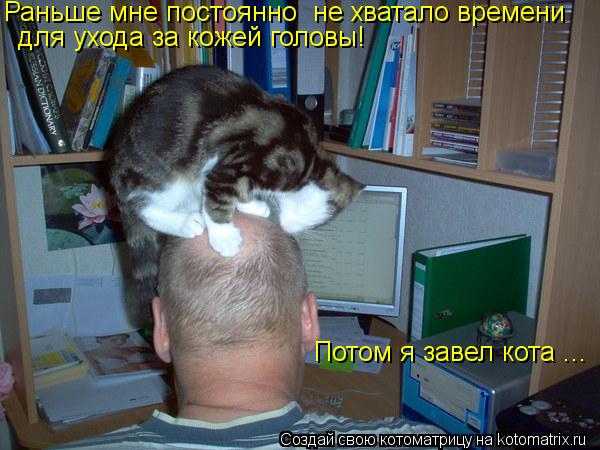 Котоматрица: Раньше мне постоянно  не хватало времени для ухода за кожей головы! Потом я завел кота ...