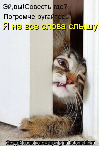 Эй,вы!Совесть где? Погромче ругайтесь! Я не все слова слышу!... Котоматрица: Эй,вы!Совесть где? Погромче ругайтесь! Я не все слова слышу!