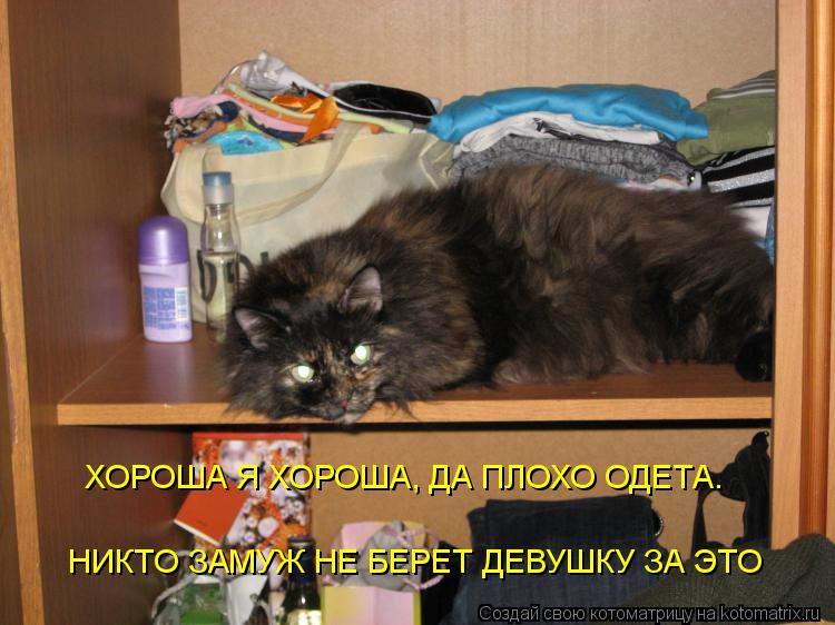 НИКТО ЗАМУЖ НЕ БЕРЕТ ДЕВУШКУ ЗА ЭТО ХОРОША Я ХОРОША, ДА ПЛОХО ОДЕТА.... Котоматрица: НИКТО ЗАМУЖ НЕ БЕРЕТ ДЕВУШКУ ЗА ЭТО ХОРОША Я ХОРОША, ДА ПЛОХО ОДЕТА.